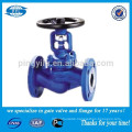 Din Cast Iron Bellow Sealed Globe Valve Pn16